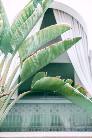 pexels-maria-orlova-4946907